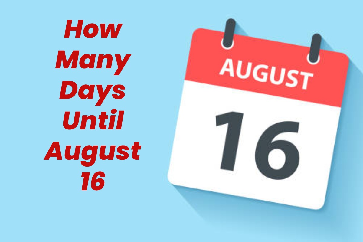 How Many Days Until August 16 About, and More Biz Tips Web